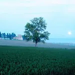 Il Fortino Di San Francesco *