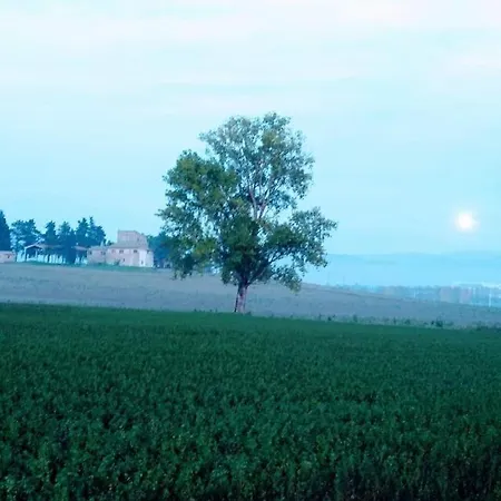 Il Fortino Di San Francesco *